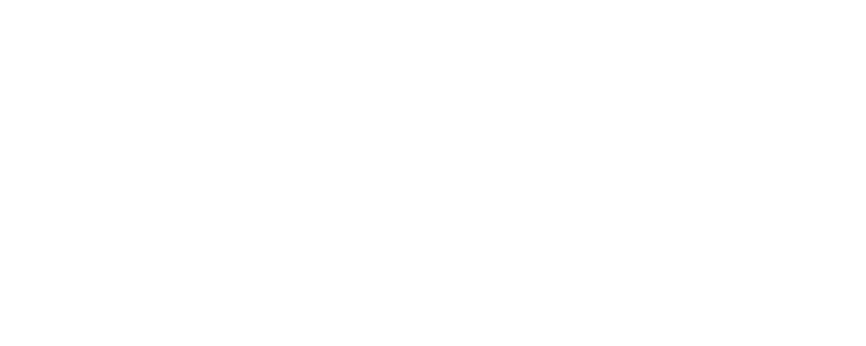 Persona